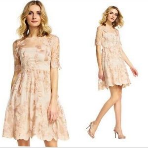 Adrianna Papell embroidered dress